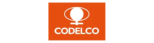 clientes serviall_codelco logo