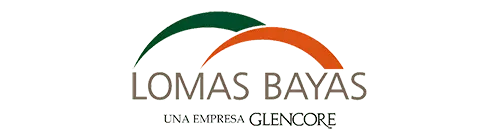 clientes serviall_lomas bayas logo