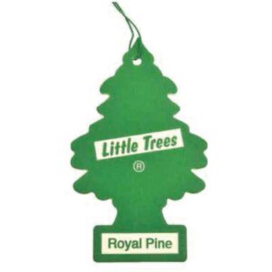 Desodorante para Auto Colgante Pino 18.1 GR