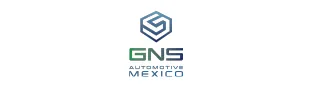GNS