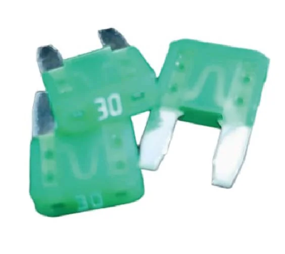 Fusible 2 Patas Min 30amp Verde