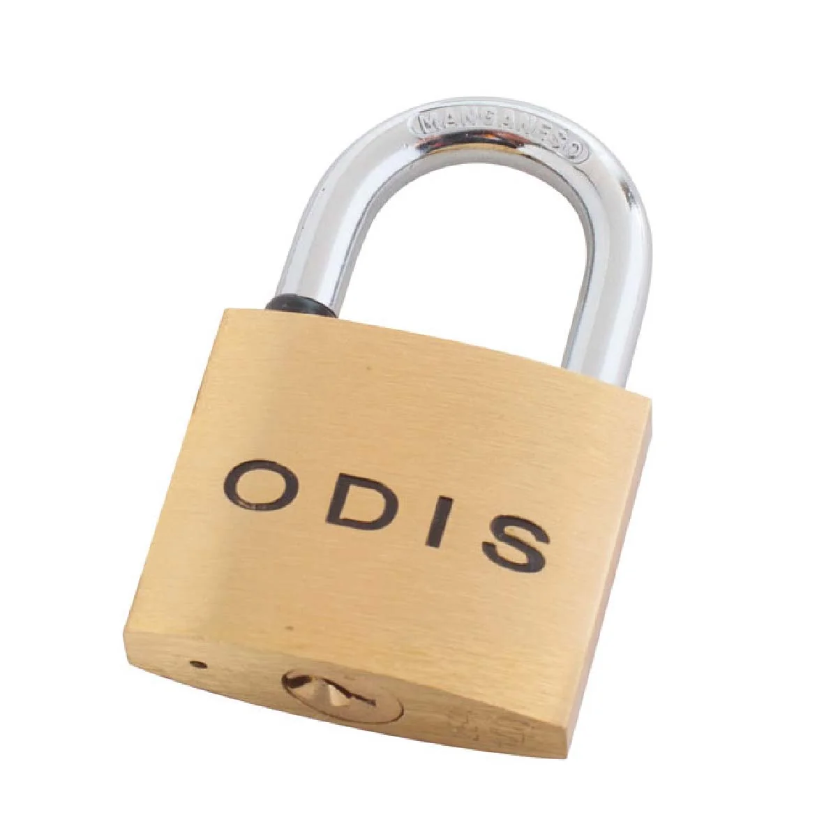 Candado Corriente 60mm Odis